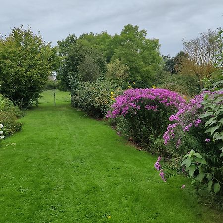 Familienurlaub Mit Hund An Der Ostsee Admannshagen-Bargeshagen Exterior foto